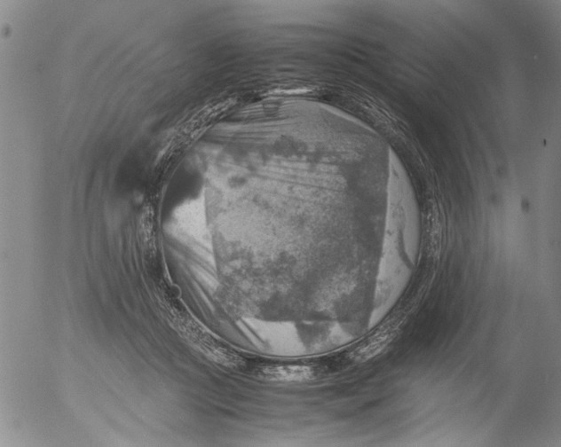 X0000053050361200508011854