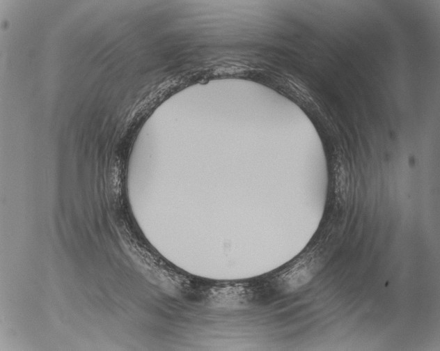 X0000053050362200508011854