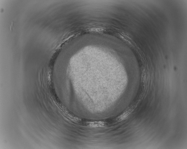 X0000053050363200508011854