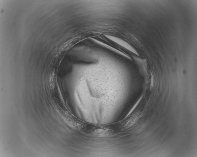 X0000053050364200508011854