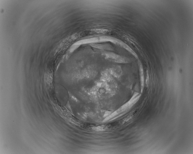 X0000053050365200508011854