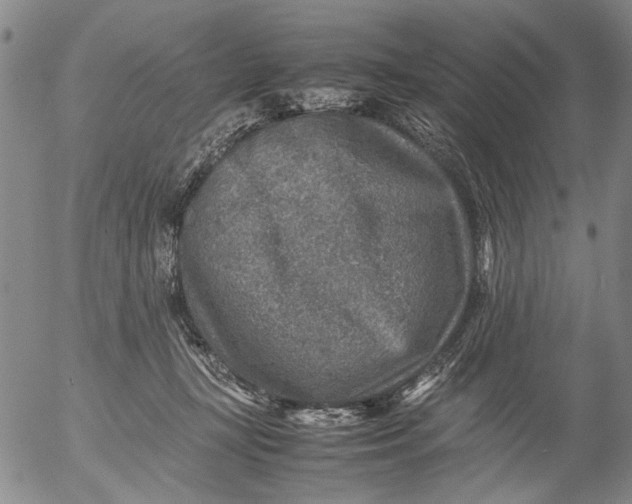 X0000053050367200508011854