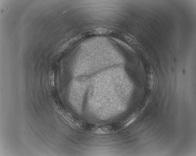 X0000053050368200508011854