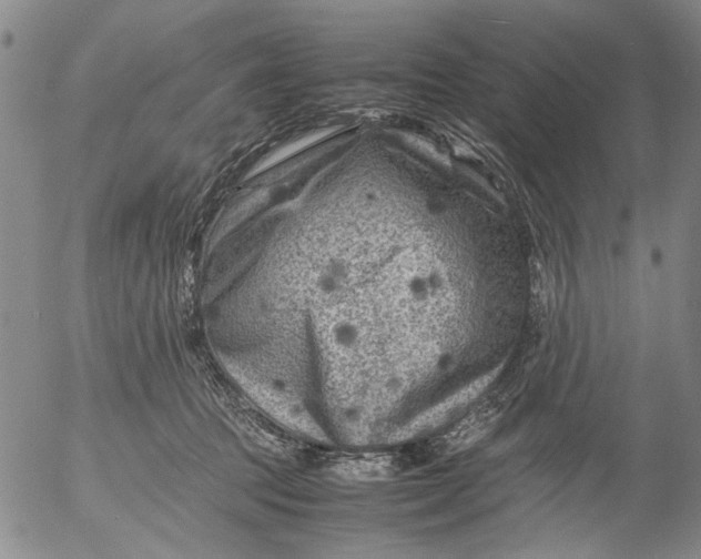 X0000053050369200508011854