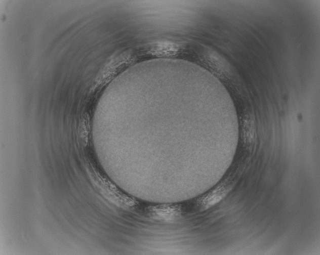 X0000053050370200508011854