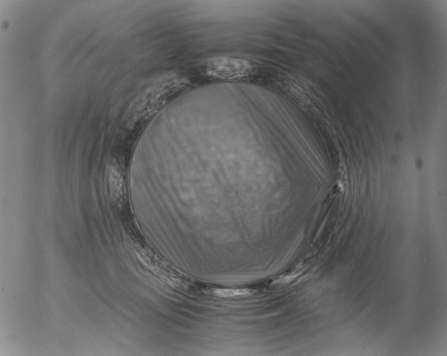 X0000053050371200508011854