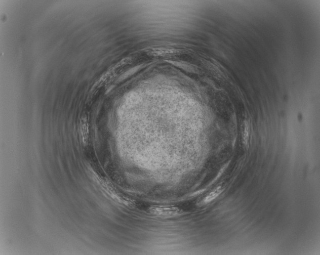 X0000053050372200508011854