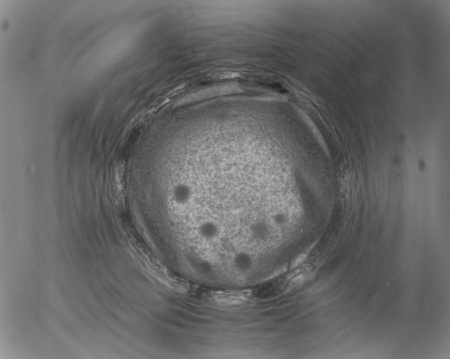 X0000053050373200508011854