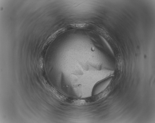 X0000053050374200508011854