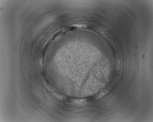 X0000053050375200508011854