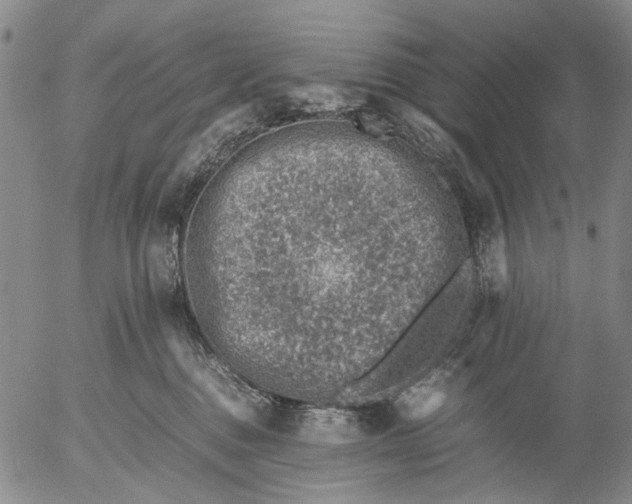 X0000053050376200508011854