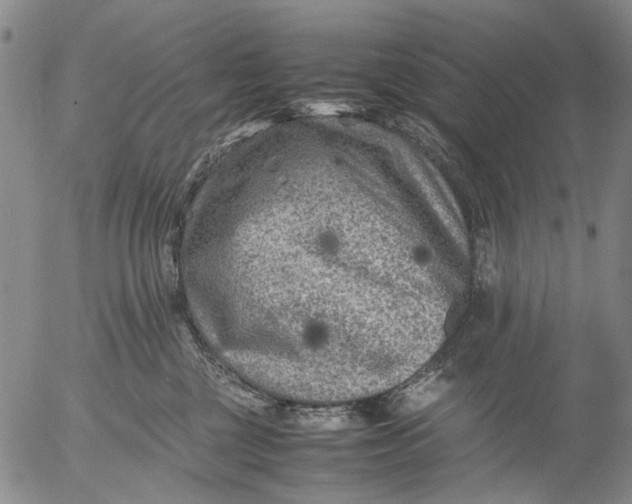 X0000053050377200508011854