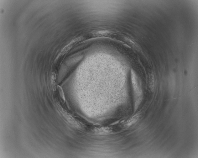 X0000053050378200508011854