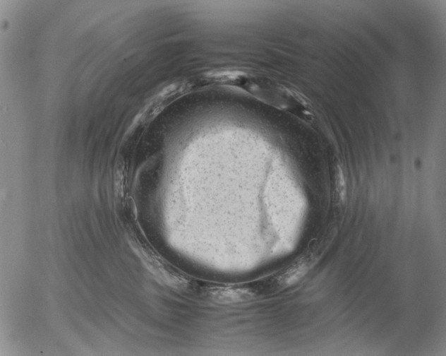 X0000053050379200508011854