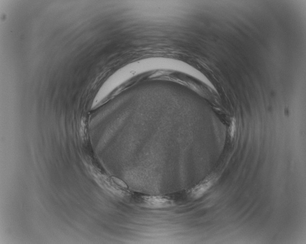 X0000053050380200508011854