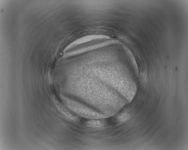 X0000053050381200508011854