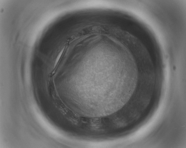 X0000053050382200508011854