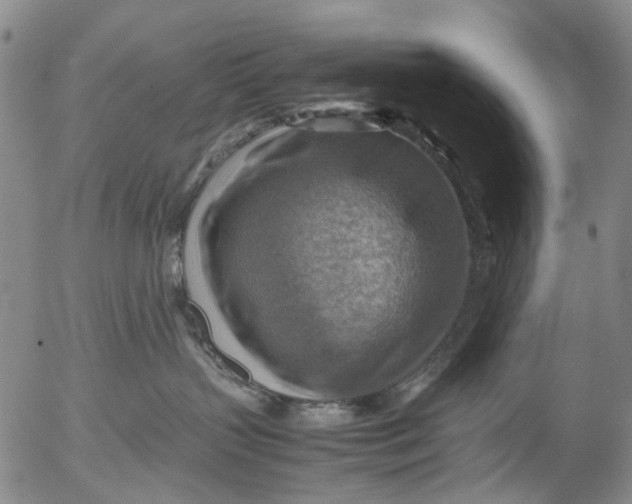 X0000053050383200508011854