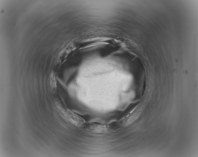 X0000053050384200508011854