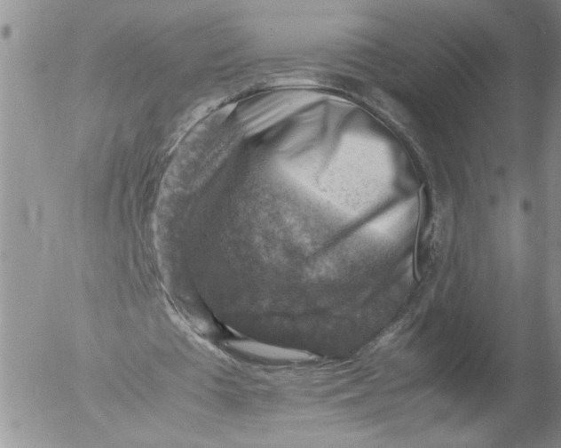 X0000053050385200508011853