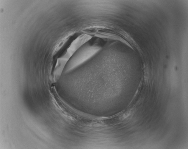 X0000053050386200508011853