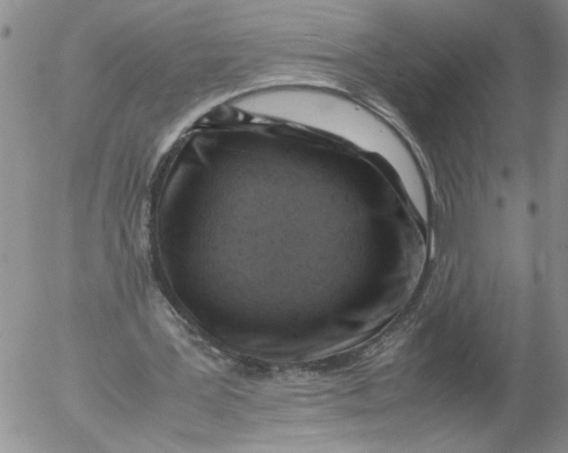 X0000053050387200508011853