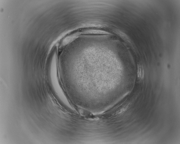 X0000053050388200508011853