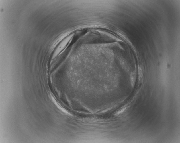 X0000053050389200508011853