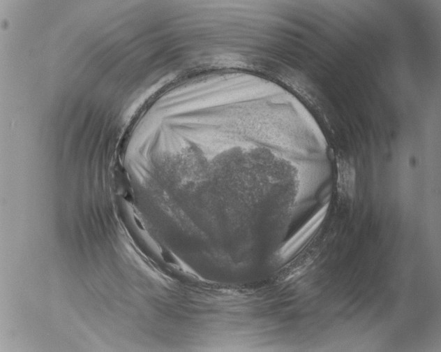 X0000053050390200508011853