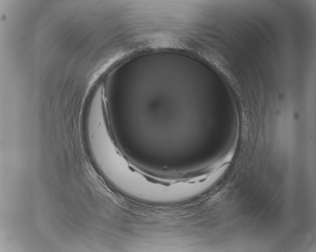 X0000053050391200508011853