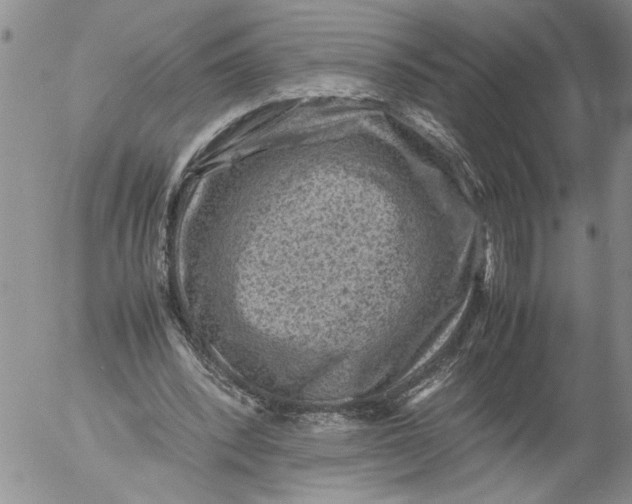 X0000053050392200508011853