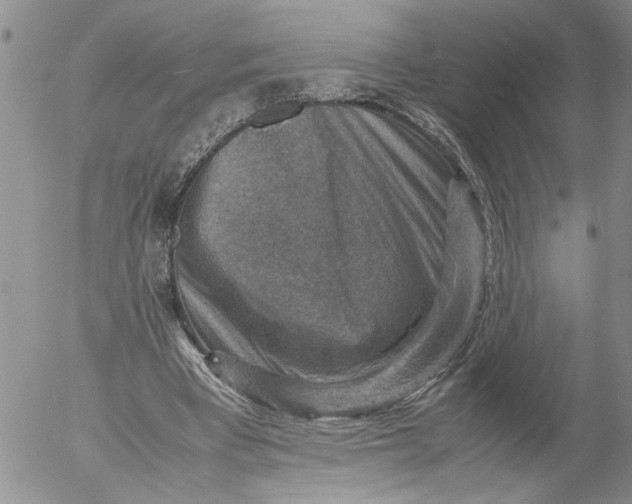 X0000053050393200508011853