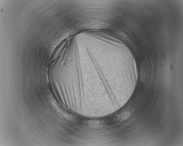 X0000053050394200508011853