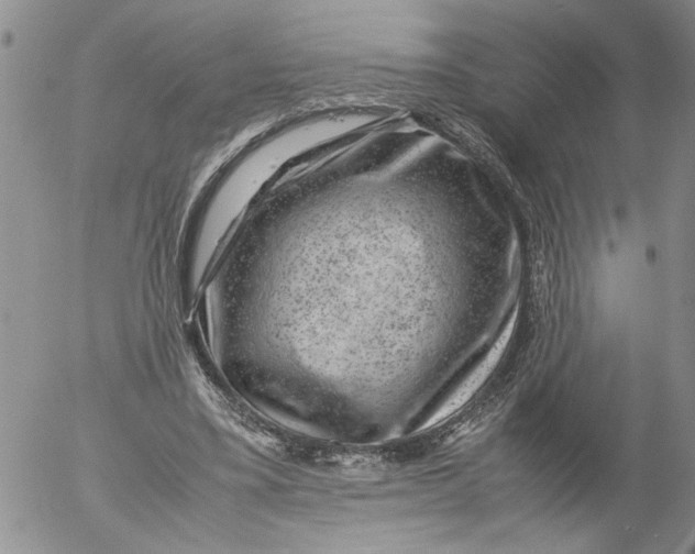 X0000053050395200508011853