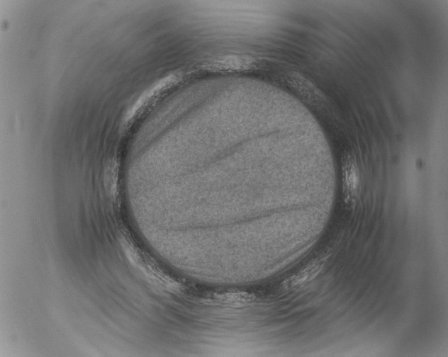 X0000053050396200508011853