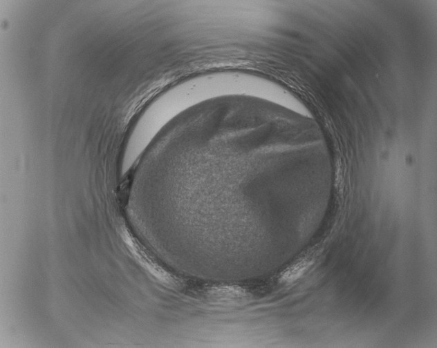 X0000053050397200508011853