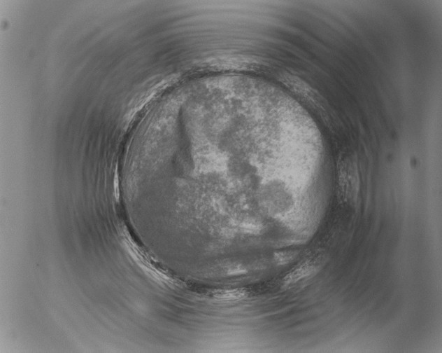 X0000053050398200508011853