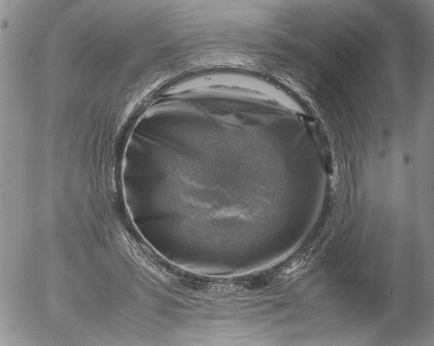 X0000053050399200508011853