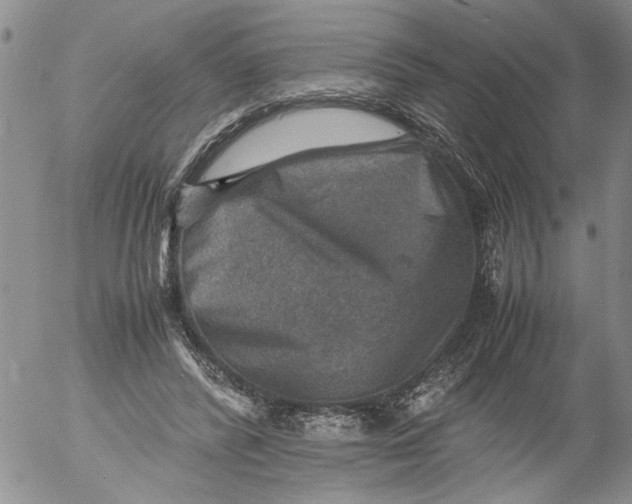 X0000053050400200508011853