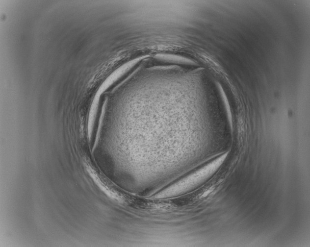 X0000053050401200508011853