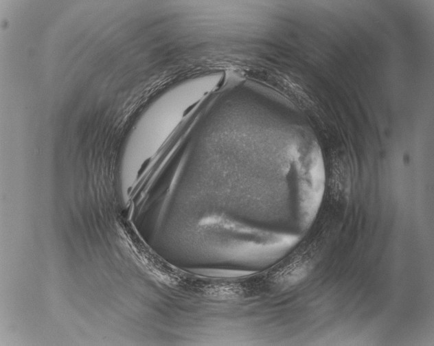 X0000053050402200508011853