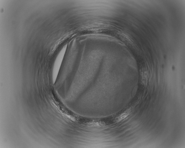 X0000053050404200508011853