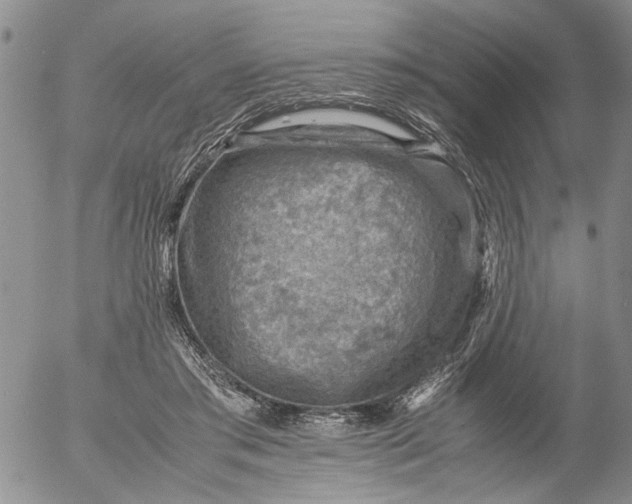 X0000053050405200508011853