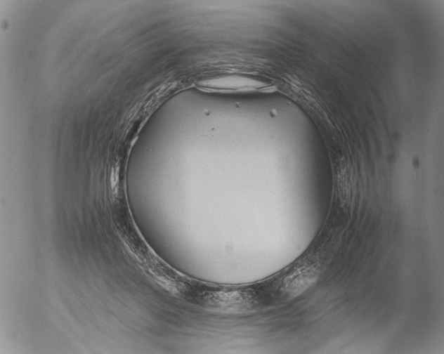 X0000053050406200508011853