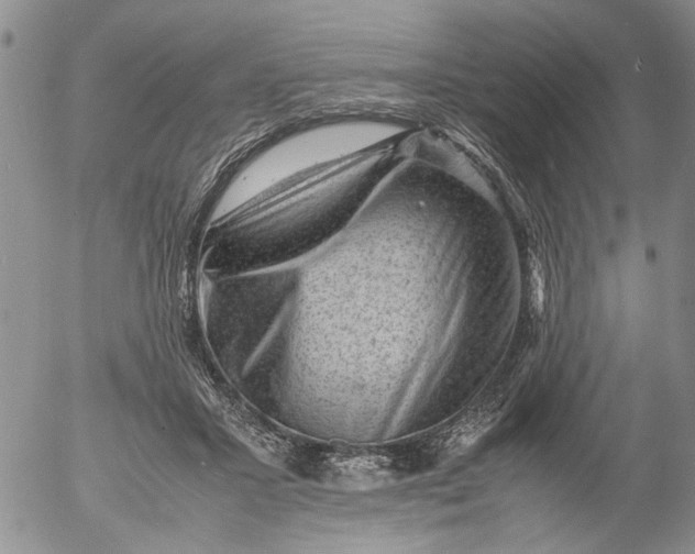 X0000053050407200508011853