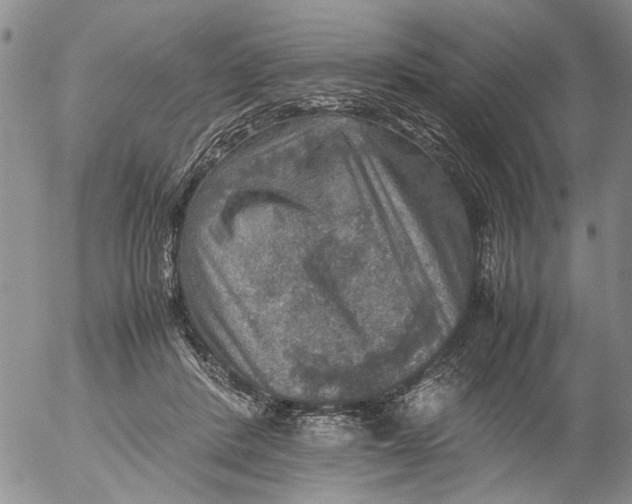 X0000053050408200508011853