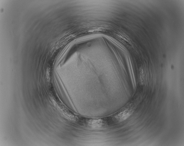 X0000053050410200508011853