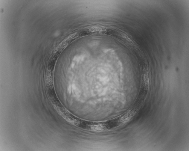 X0000053050411200508011853