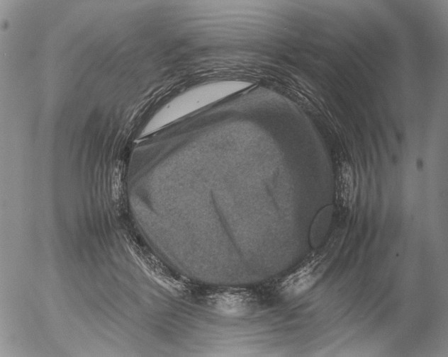 X0000053050412200508011853