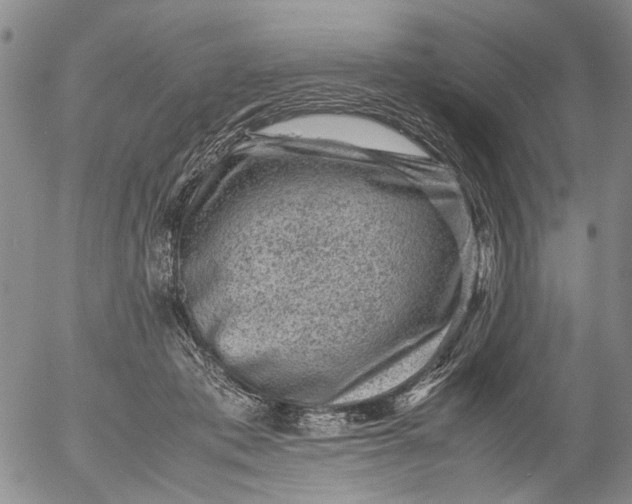 X0000053050413200508011853